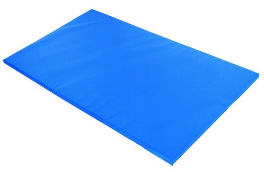 Colchoneta ligera azul 4 cm