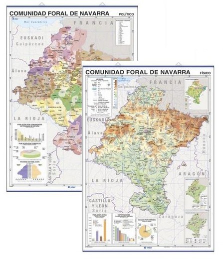 Mapas murales Comunidad Foral de Navarra: Físico/político