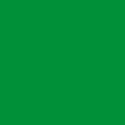 Papel charol 50*65, verde