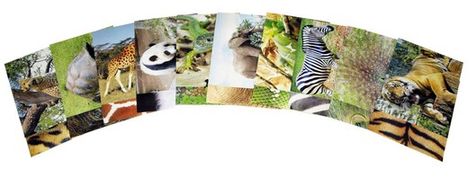 Paper creatiu Animals Salvatges 210x297 mm.