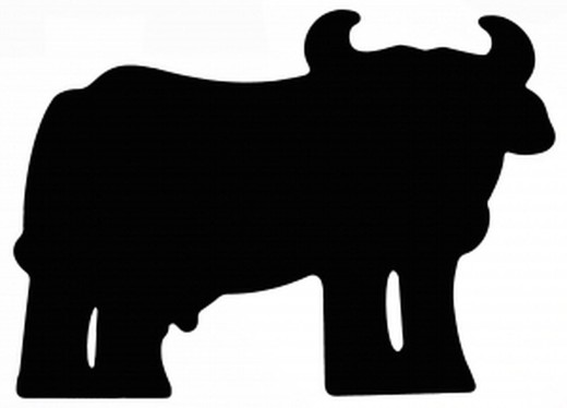 Pissarra vaca