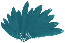 Plumas indio 25 mm x 140 mm aprox. azul — latiendadelmaestro