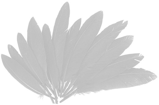 Plomes indi 25 mm x 140 mm aprox. blanc
