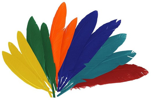 Plumas indio 25 mm x 140 mm aprox. colores