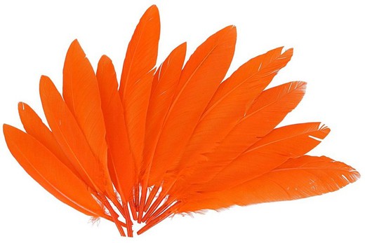 Plomes indi 25 mm x 140 mm aprox. taronja
