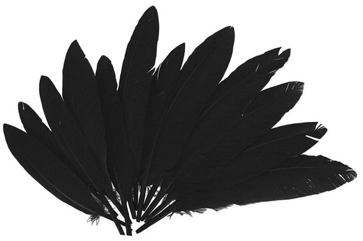 Plumas indio 25 mm x 140 mm aprox. negro