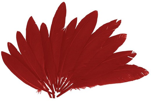 Plumas indio 25 mm x 140 mm aprox. rojo