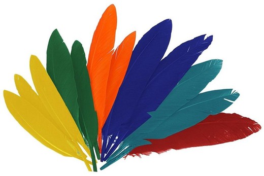Plumas indio 30 mm x 200 mm aprox. colores