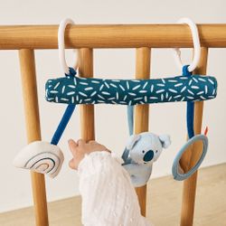 Activitats sensorials Koala