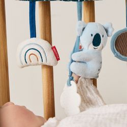 Activitats sensorials Koala