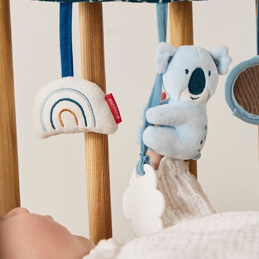 Activitats sensorials Koala
