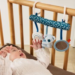 Activitats sensorials Koala