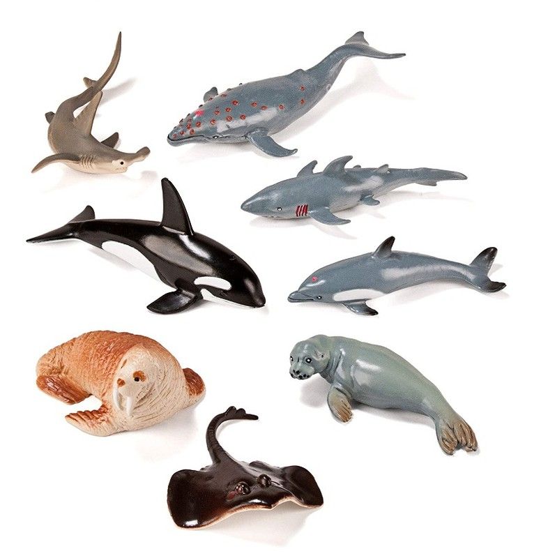 Animales Marinos 8 und.