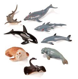 Animales Marinos 8 und.