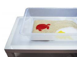 Bandeja transparente de experimentación