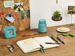 Bolígraf PILOT Frixion esborrable blau