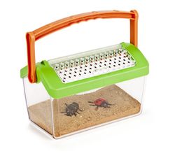 Caseta per a insectes Bug House