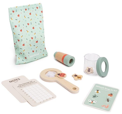 Set insectes FSC 100%
