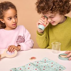 Set insectes FSC 100%
