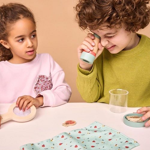 Set insectes FSC 100%