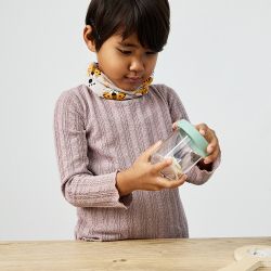Set insectes FSC 100%