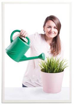 Buscar les diferències