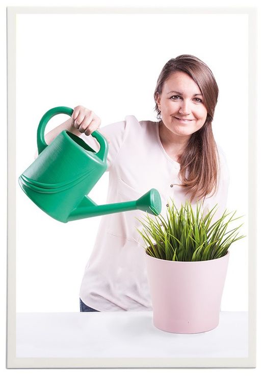 Buscar les diferències