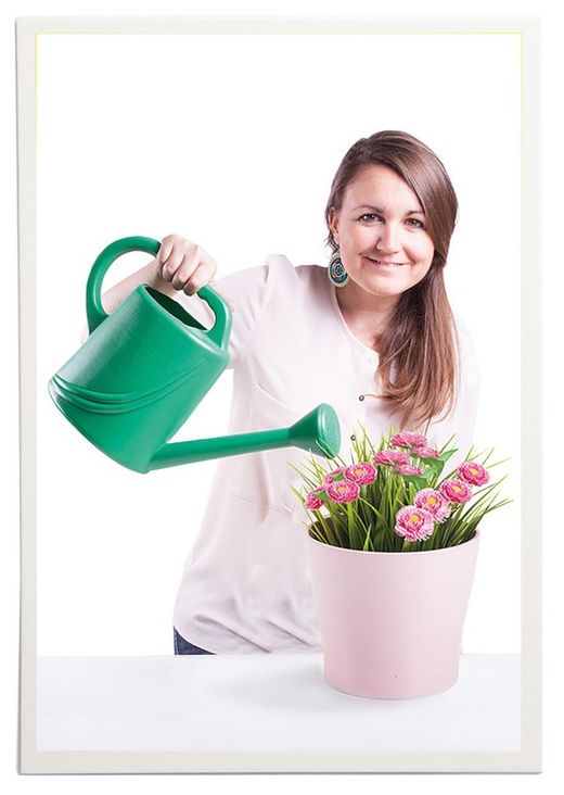 Buscar les diferències