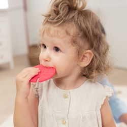 FTL: Cactus sensorial