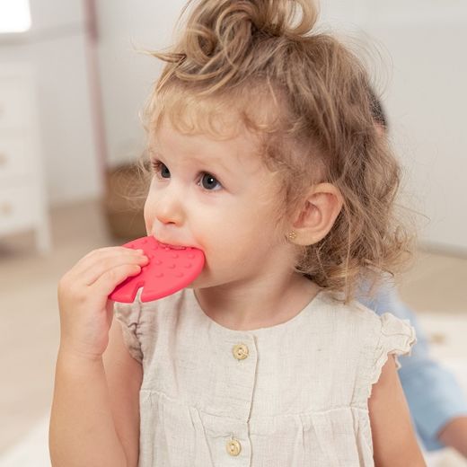 FTL: Cactus sensorial