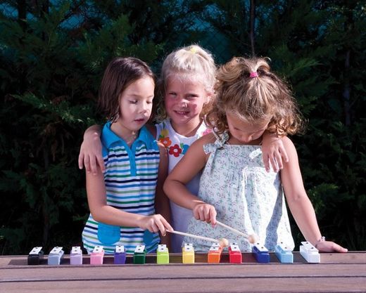 Carrilló 13 notes + pissarra + llibre