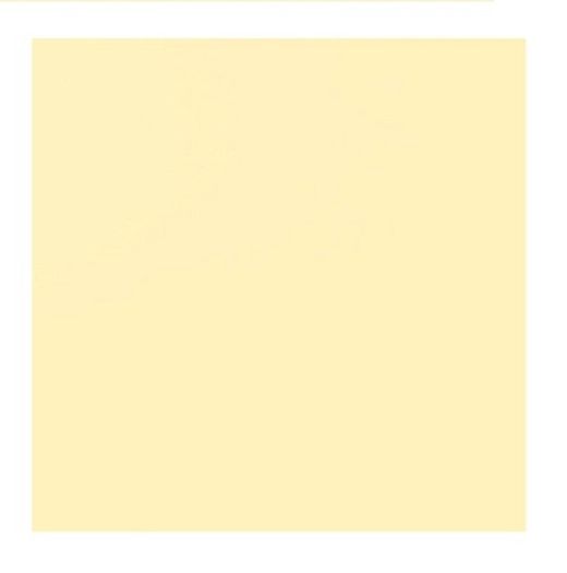 Cartulina 50*65 30 kg. beig