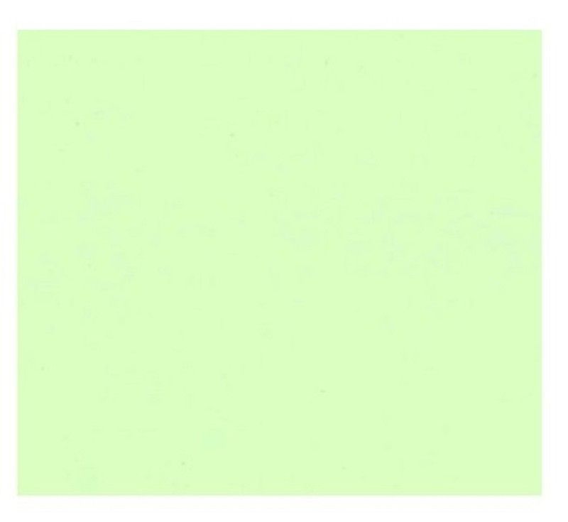 Cartulina 50*65 30 kg. verde claro