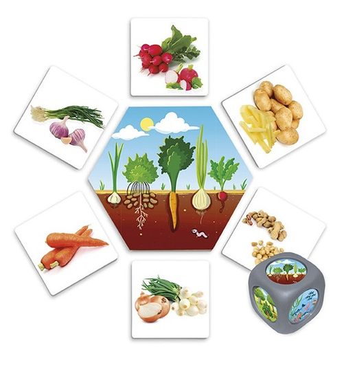 ¿De dónde vienen los alimentos?