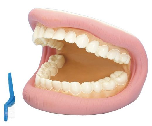 Dientes Gigantes