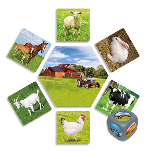 ¿Dónde viven los animales?