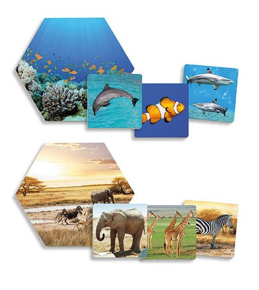 On viuen els animals?