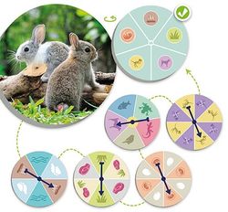 El mundo animal: Descubre y clasifica