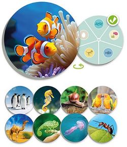 El mundo animal: Descubre y clasifica