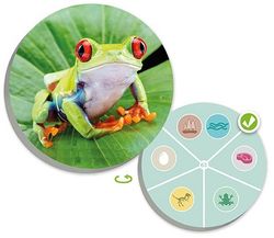 El mundo animal: Descubre y clasifica