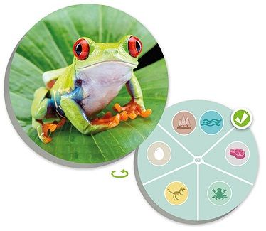 El mundo animal: Descubre y clasifica