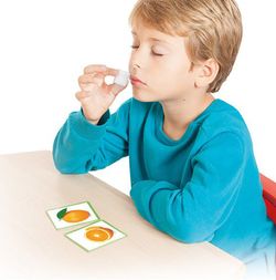 L'Olfacte: Les fruites i les seves aromes