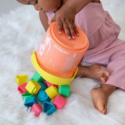 FTL: Galleda & formes encaixables salmó