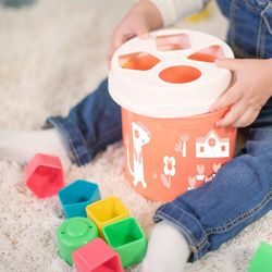 FTL: Galleda & formes encaixables salmó