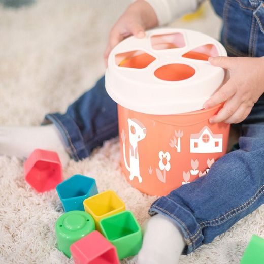 FTL: Galleda & formes encaixables salmó