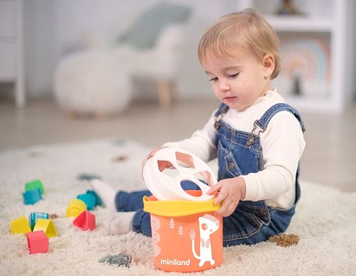 FTL: Galleda & formes encaixables salmó