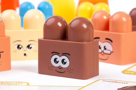 Family Diversity Blocks