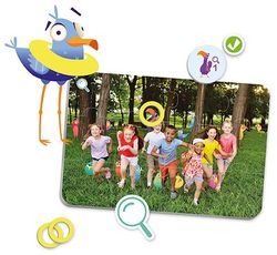 Find the birds. Aprendre a comptar