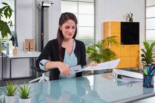 Grapadora de tenaza B 39, cromado