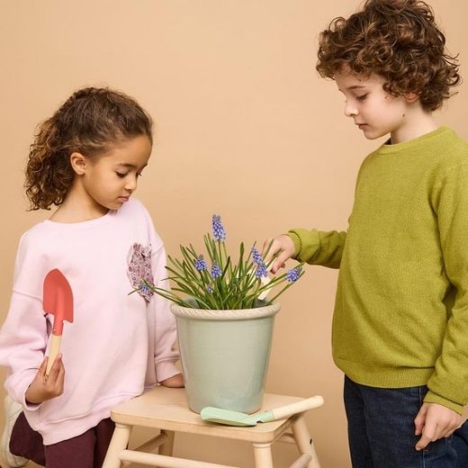 Eines de jardineria